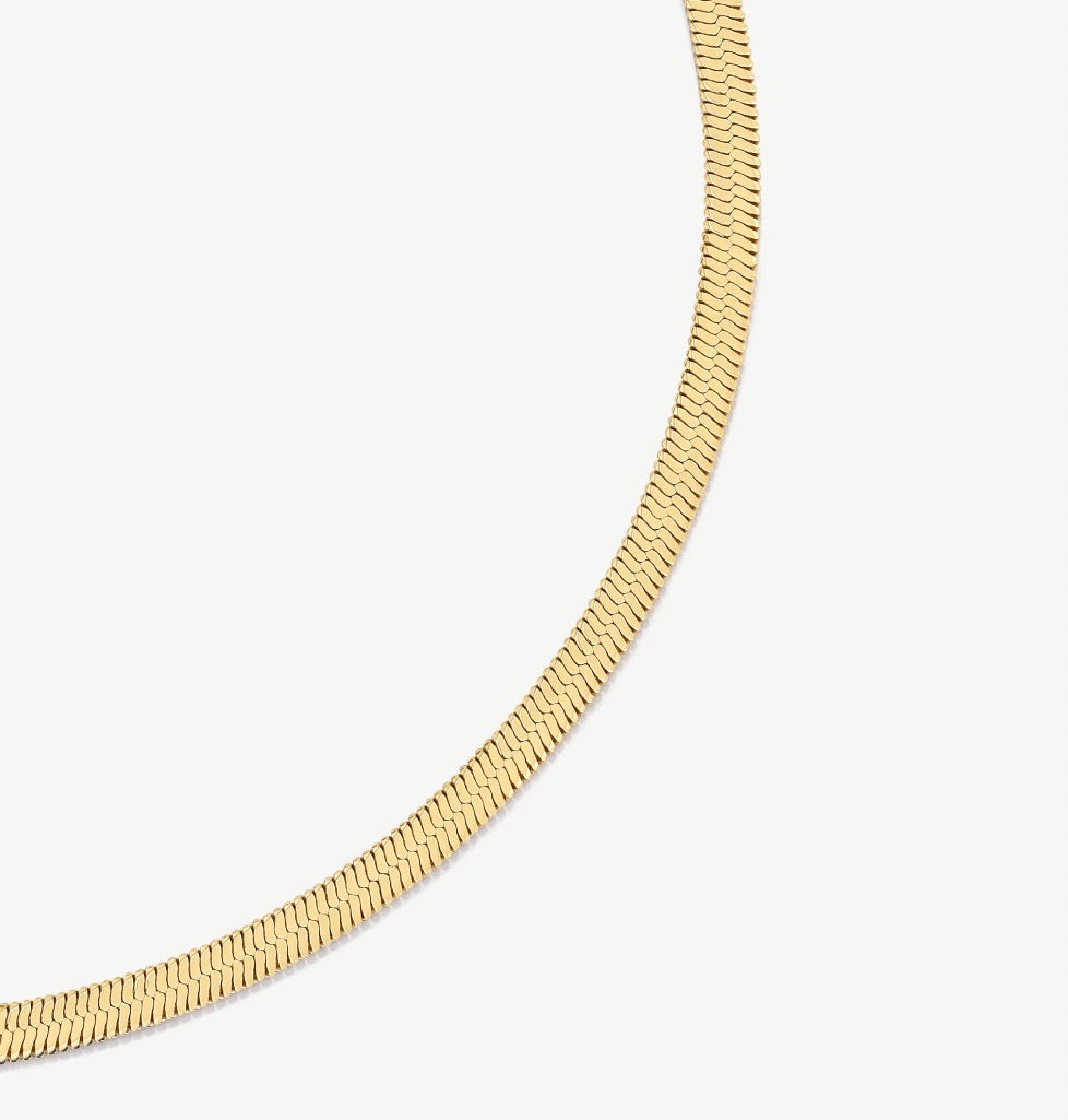 Snake Chain Herringbone Necklace